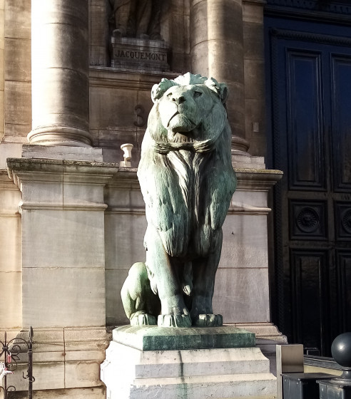 Lion assis