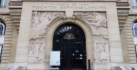 Lions et chevaux
