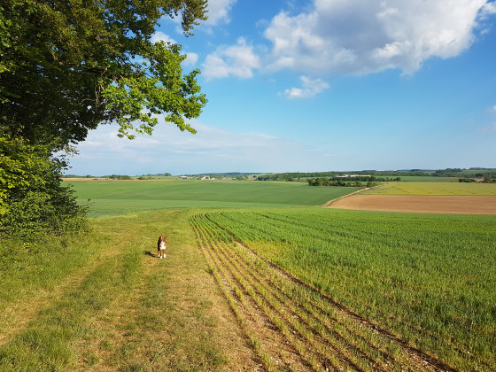 lisière du Raillemont