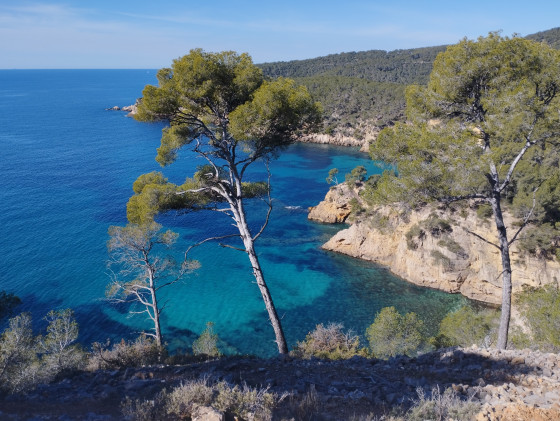 Littoral bandol