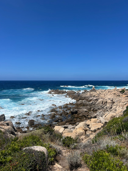Littoral