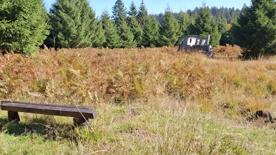 Locomotive dans la nature