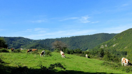 Lods : En montant à la Roche de Hautepierre