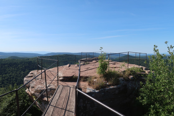 Loewenstein