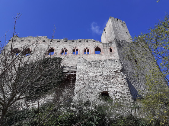 Burgruine Ortenburg über Dieffenthal