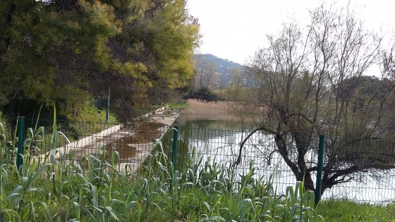 Le bassin