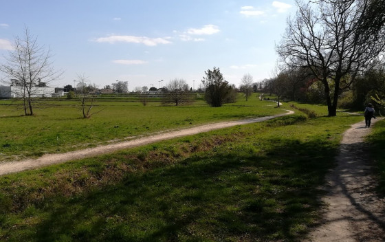Longeant la plaine des sports