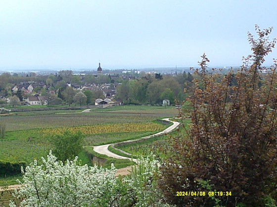 Look back on Beaune
