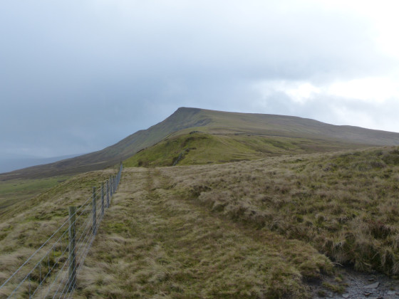 Regard en arrière vers Wild Boar Fell