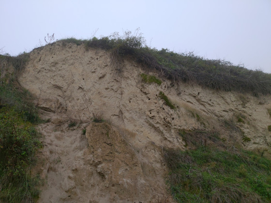 Sentier des chemins creux - Chemin creux