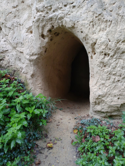 Sentier des chemins creux - Chemin creux