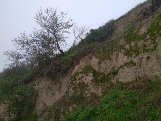 Sentier des chemins creux - Chemin creux