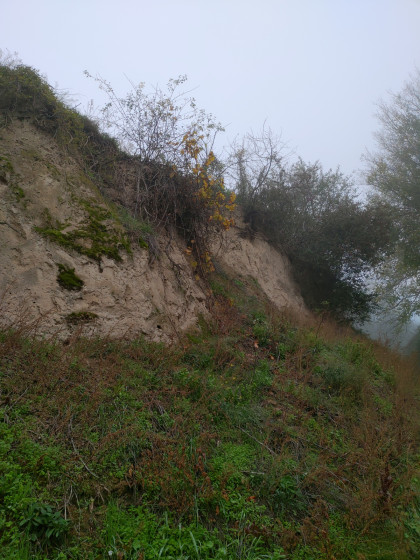 Sentier des chemins creux - Chemin creux