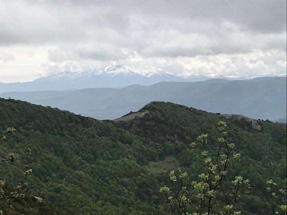 Lou Canigou