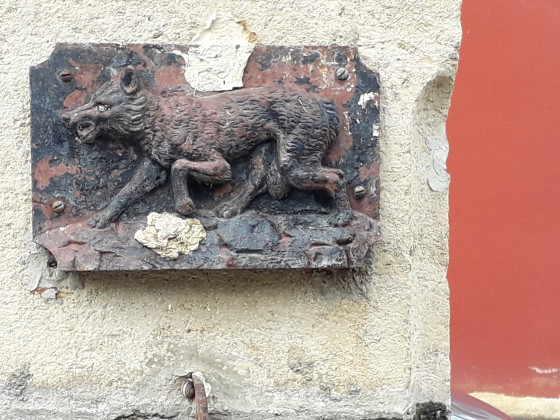 Loup de la fontaine du Loup