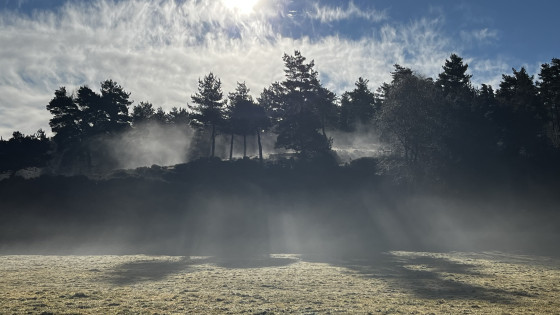 Lumi&egrave;re du matin