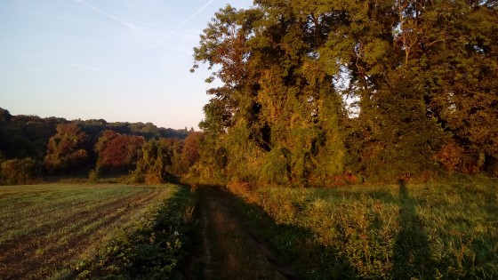 Lumière matinale