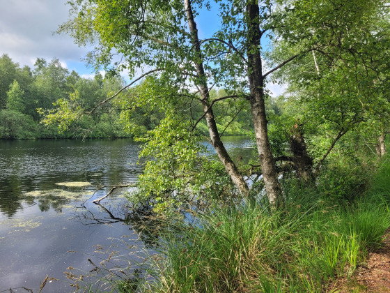 Lundener See