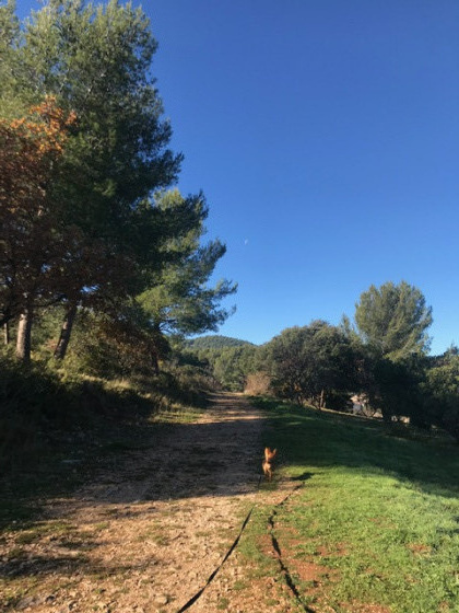 Magnifique balade