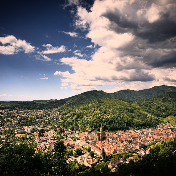 Magnifique vue depuis les hauteurs de Thann