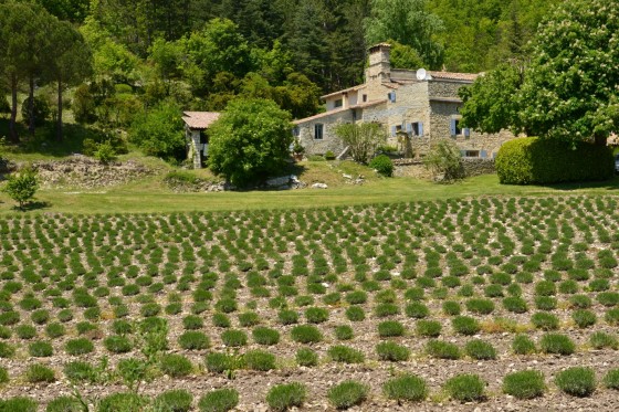 Magnifique maison