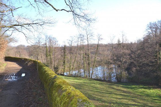 Magnifique muret