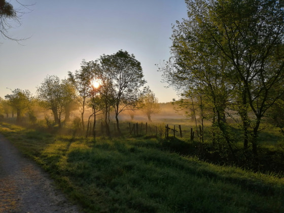 Magnifique paysage avec une légère brume matinale