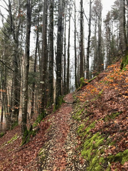 Lac du Brenet via le Mont d\'Orzeires et le Crêt des Alouettes Lac du Brenet via le Mont d\'Orzeires et le Crêt des Alouettes