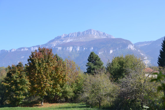 Magnifique