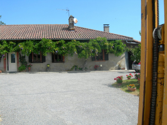 maison à glycine