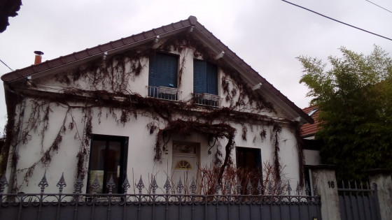 Maison avec treille