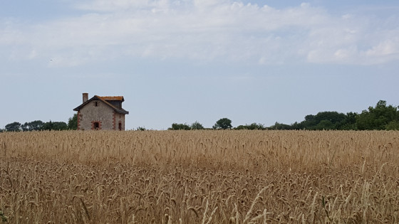 Maison dans les champs
