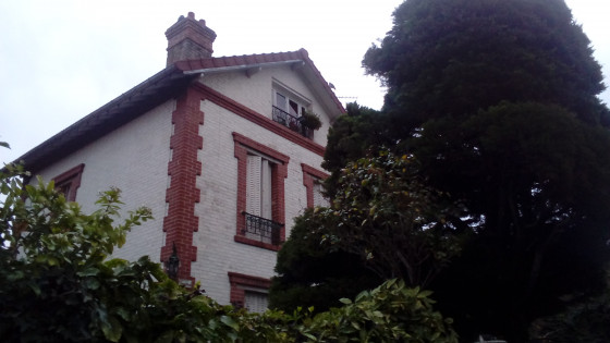 Maison entourée de feuillages