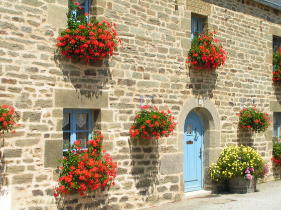 Maison fleurie