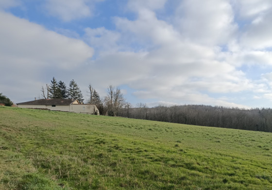 Maison isolée avec un bel environnement