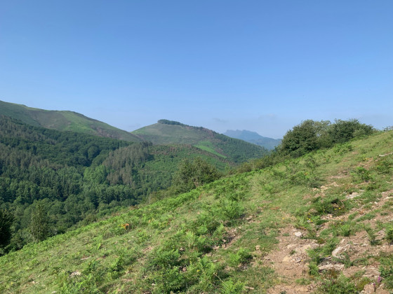 Manttale
