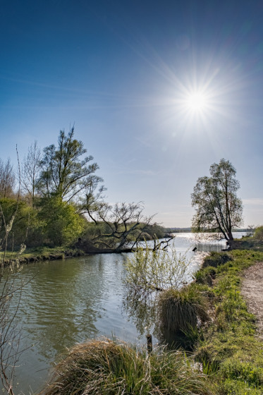 Marais d'Ecourt-Saint-Quentin