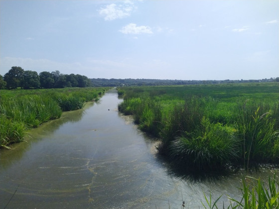 Marais de Fresnier