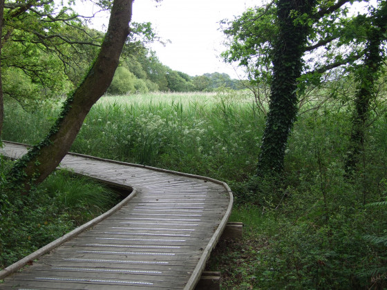 Marais de la Goden