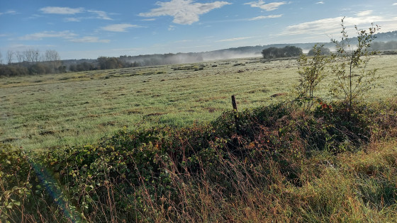 Marais de la Vacherie