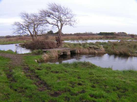 Marais de Lescors