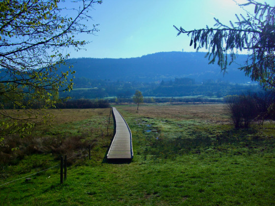 Marais de Vaux