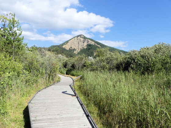 Marais des Bouligons