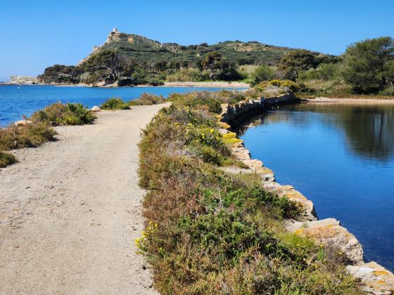 marais salant
