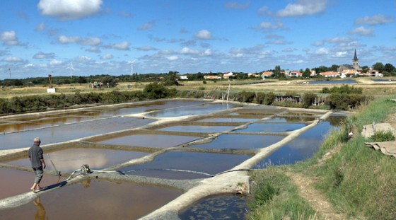 Marais salants