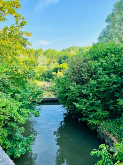 Marais