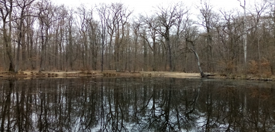 Mare aux Canes