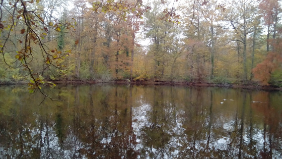 Mare aux Évées