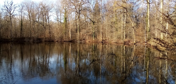Mare aux Évées