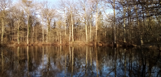 Mare aux Évées